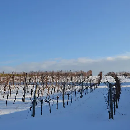 Wein + Bett Wiedeck Gasthof *