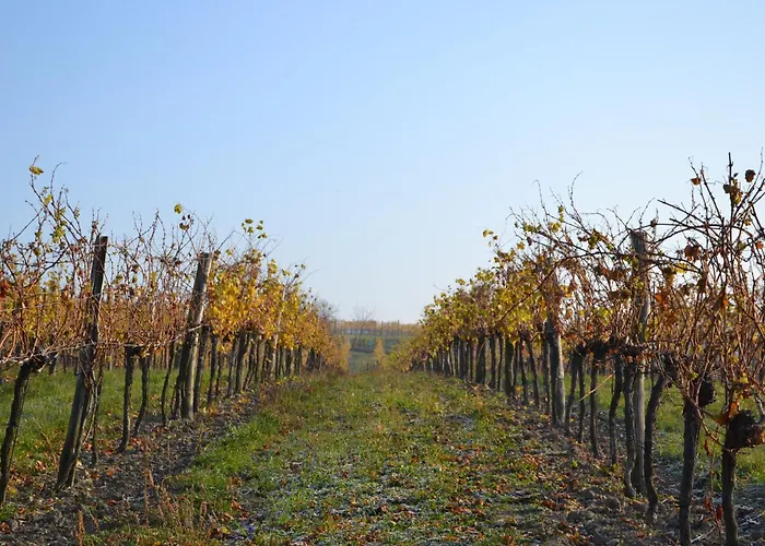 Gæstehus Wein + Bett Wiedeck