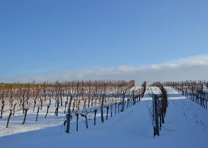 Wein + Bett Wiedeck Gæstehus *